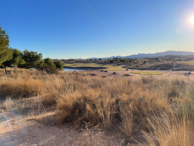 The Alhama Signature course, from the resort